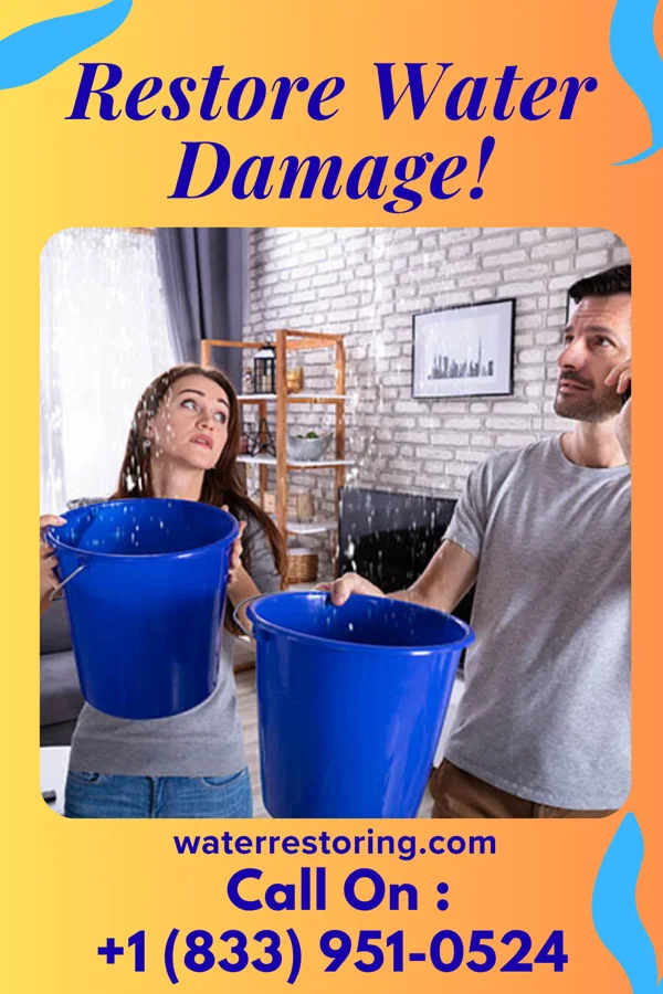 water restoration Elite Extraction Specialists Hughes Springs